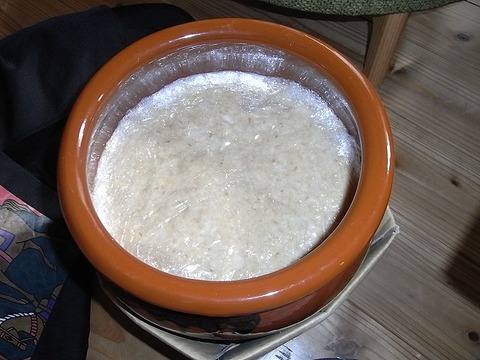 RIMG0550