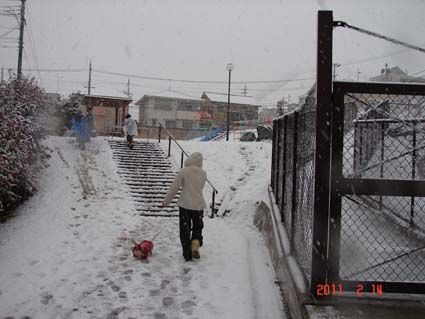 2011-12-14-2