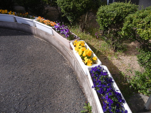 DSCN0345