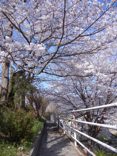 DSCN0350