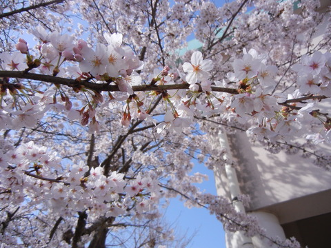 DSCN0358