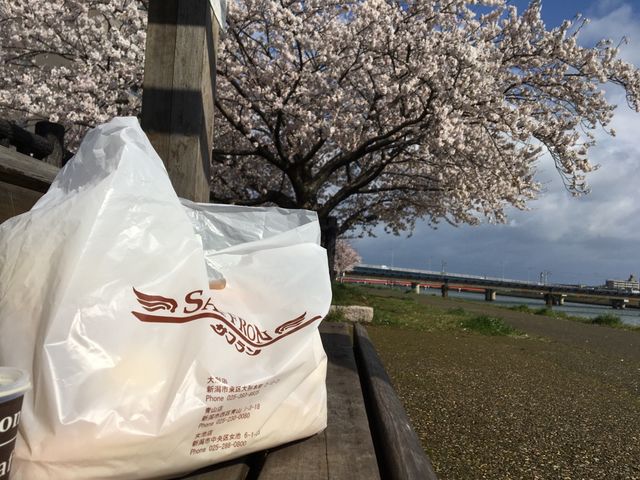 2019sakura01