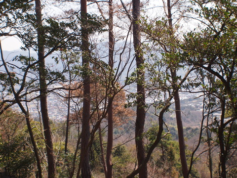 P3265973