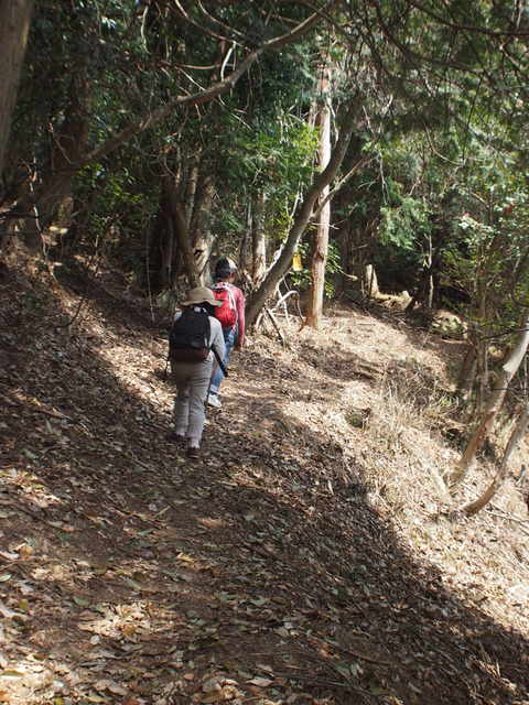 P3316582 (2)