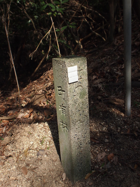 P3316581 (2)