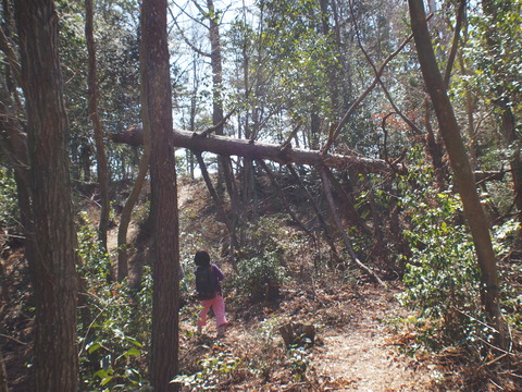 P3265943