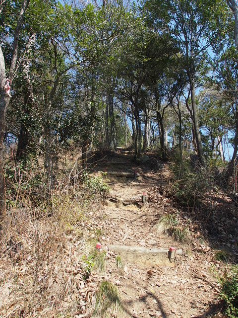 P3265969