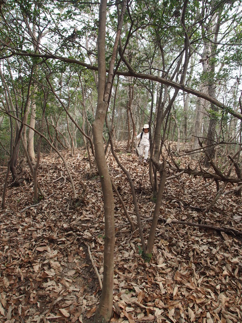 P3316525 (2)