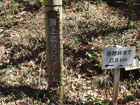 P3265883