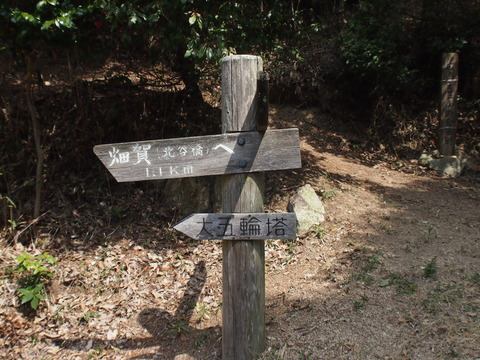 P3316593