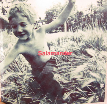 ELLEGARDEN ポスター Salamander エルレガーデン おまけ付き Amazon.co.jp: 【メーカー特典あり】「Get it Get it Go! SUMMER