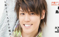 Voice Newtype (ボイス ニュータイプ) No.47 2013年 05月号 [雑誌]