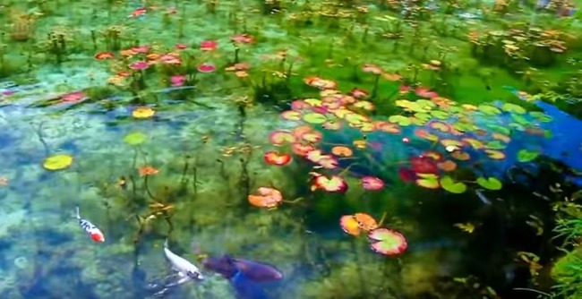 モネの池