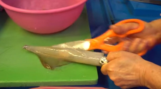 ハサミでイカを捌く