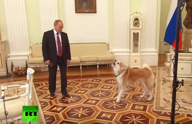 プーチン大統領の秋田犬