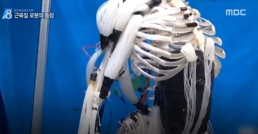 韓国でフィラメントを用いた人口筋肉ロボットを開発