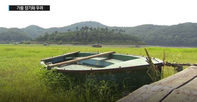 韓国で日照り