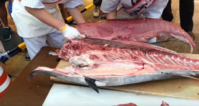 大阪のマグロ解体ショー