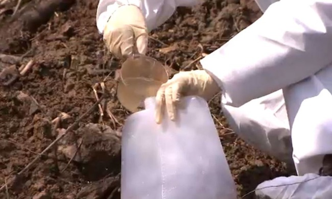 韓国の発癌村