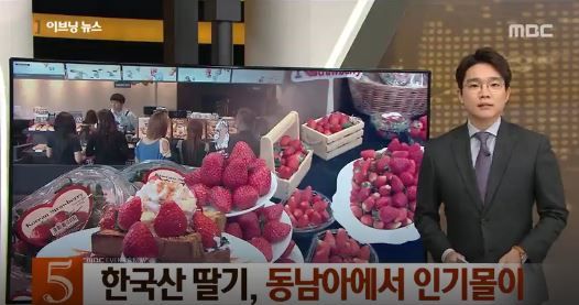 【韓国経済】タイ人「韓国はイチゴの国！韓国のイチゴは最高に美味しい」韓国人「韓国産イチゴが、東南アジアで人気」　韓国経済ニュース