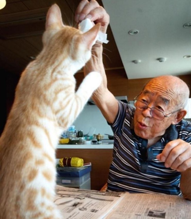やさしい赤猫