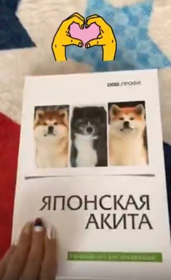 ロシア語で書かれた秋田犬の本
