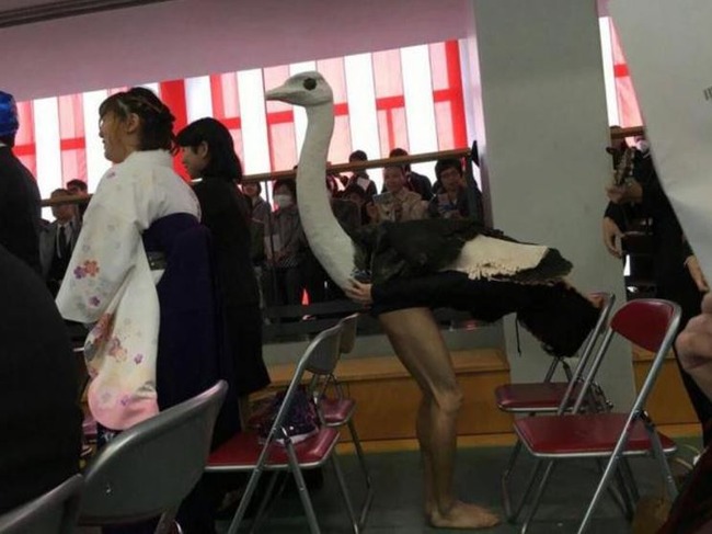 ダチョウのコスプレ