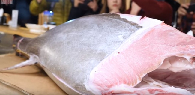 マグロの刺身