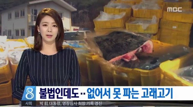 韓国の美人アナウンサー