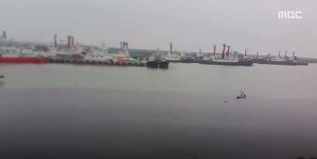 韓国で海に汚水