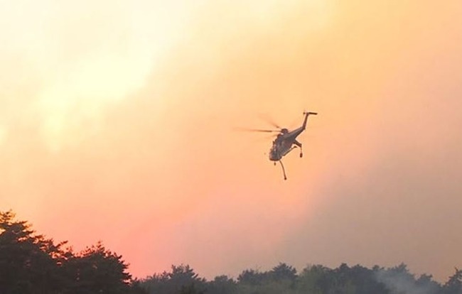 韓国で大型山火事