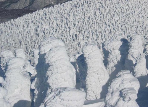 004_snow_japan
