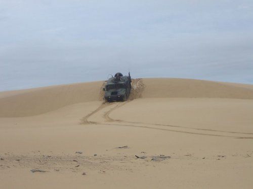 1181429691_hummer_002