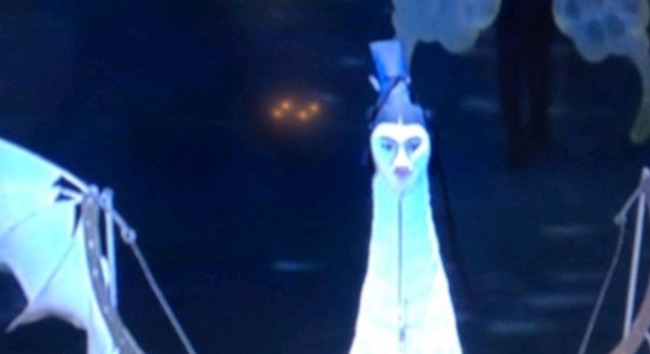 人面鳥
