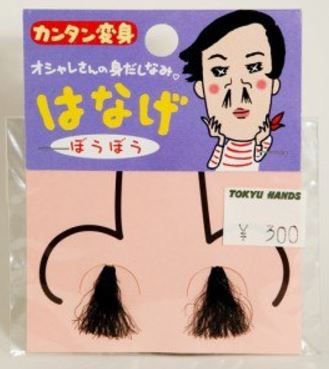 変装セット鼻毛ぼうぼう