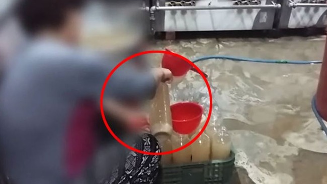 韓国の甘酒・豆乳工場