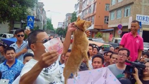 今日保存した最高の画像を転載するスレアナ禁　 286YouTube動画>1本 ->画像>486枚 