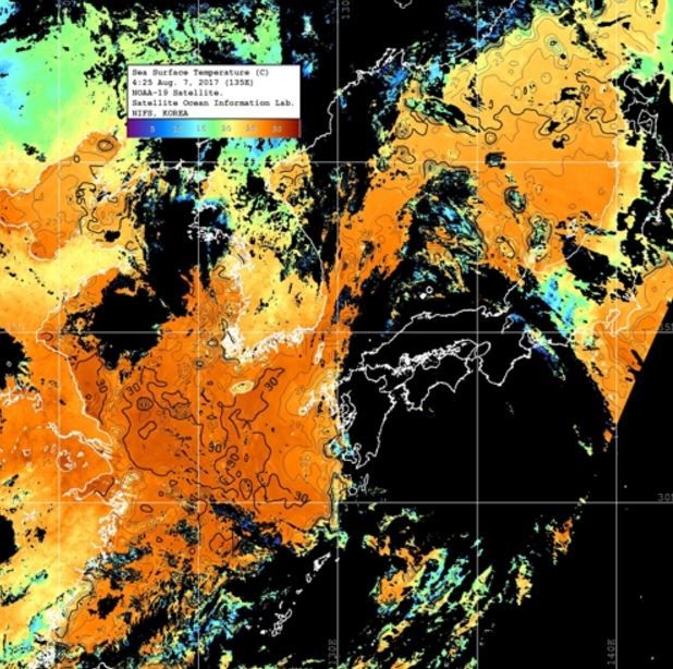 韓国周辺の海水温