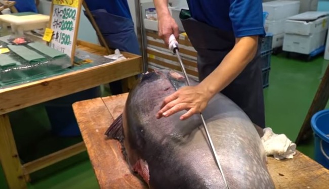 刀でマグロを捌く