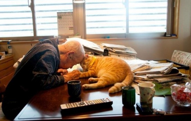 ロシア人「94歳の日本人男性と、赤猫の友情が素晴らしい！老人の人生を助ける日本猫の姿をご覧ください」　【画像】　海外の反応