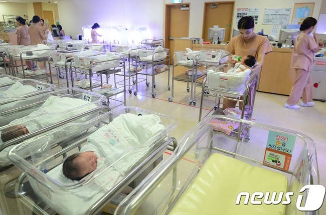 韓国の少子化