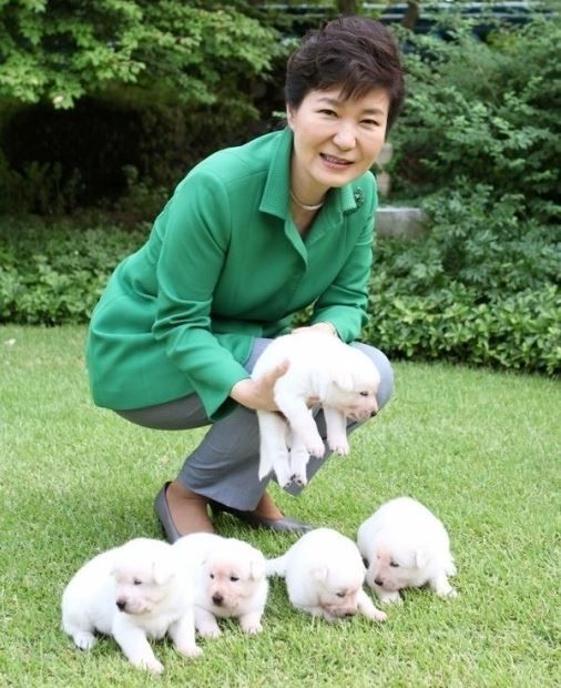朴槿恵前大統領が珍島犬を置くて行く