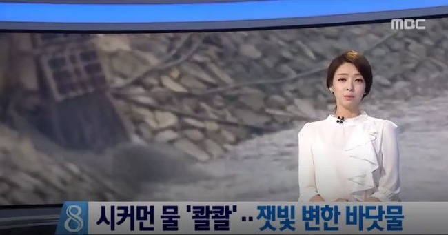 韓国で海に悪臭が漂う