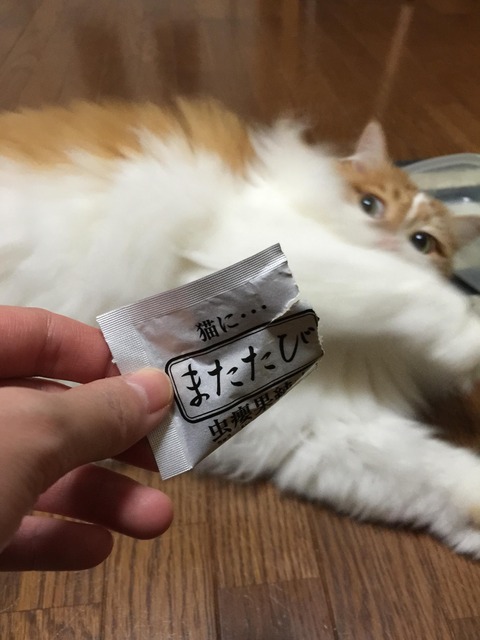 no title