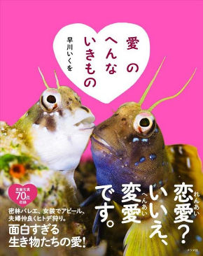 miya_170708penginsoratobu05