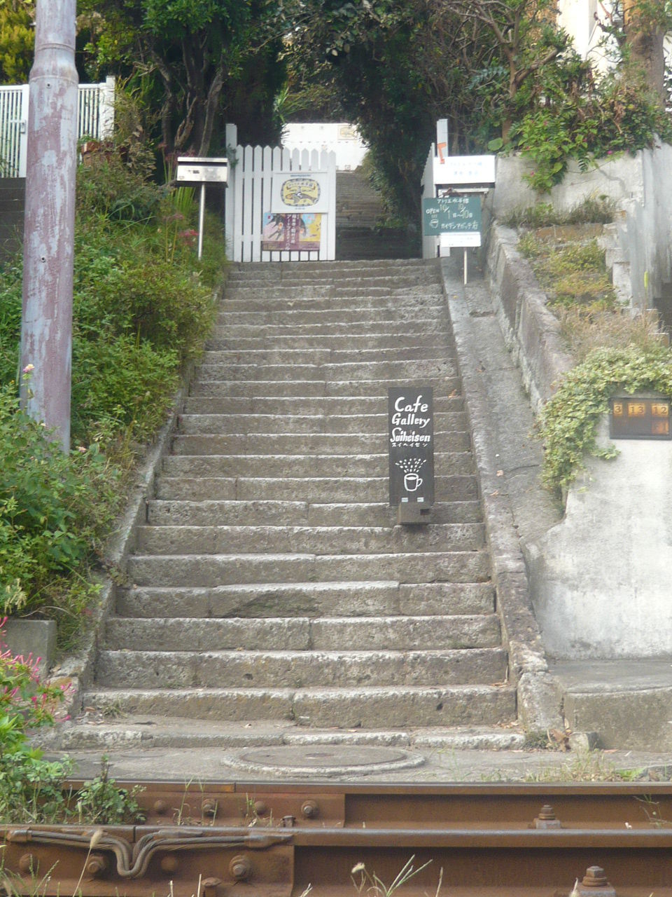 桑田佳祐 の掲示板投稿写真&画像