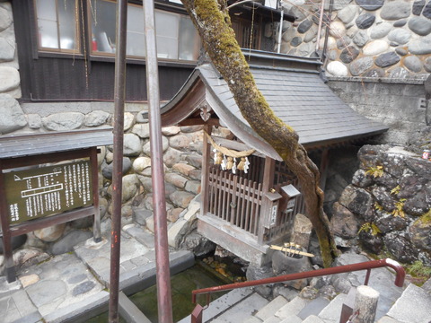 DSCN1178