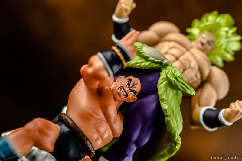 DSC_1799