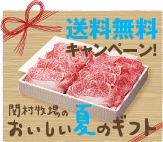 bn_gift_summer_free_shipping_s