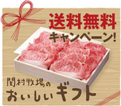 秋キャンパーツ
